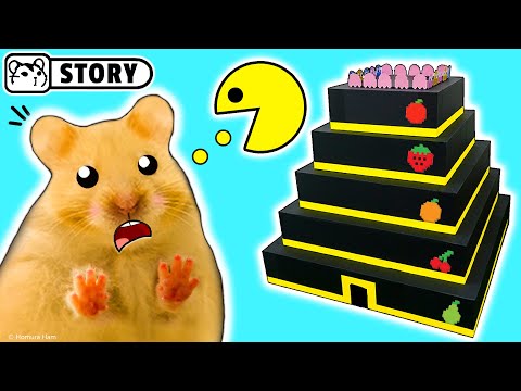 Hamsters in the Pac-Man Pyramid maze 😀 Homura Ham