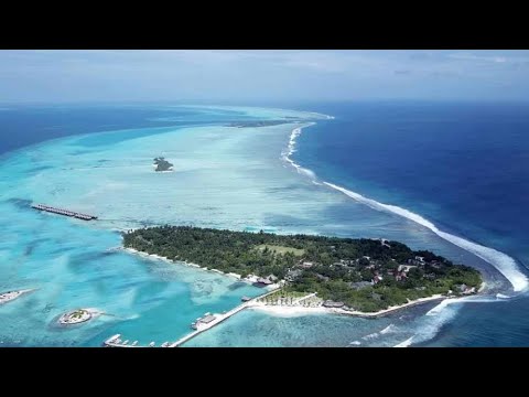 Videos del Adaaran Select Huduran Fushi 4★ en Atolón de Malé Norte, MaldivasVer MásVerPrecios19CerrarConsulta por Whatsapp 🇦🇷BookingTripadvisorExpediaAgodaTravelocityOrbitzTripSkyscannerDespegarKayakHotelesBestdayDestiniaTrivagoTurismocityAlmundoLastminuteTuiWotif