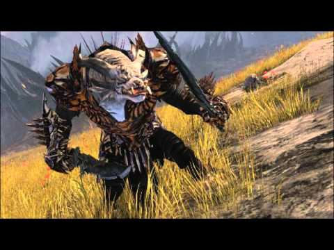 Guild Wars 2 - Warrior Profession Overview