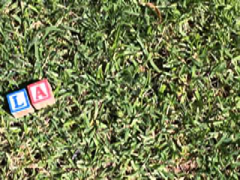 Laila Tov By Craig Taubman