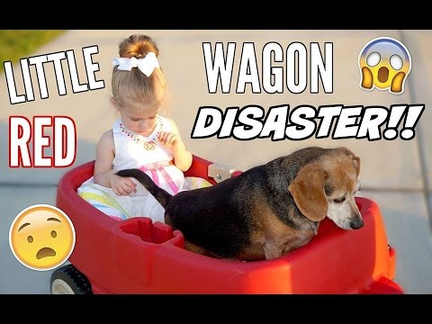 LITTLE RED WAGON DISASTER!!