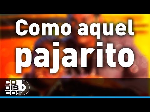 Como Aquel Pajarito, Los Diablitos - Audio