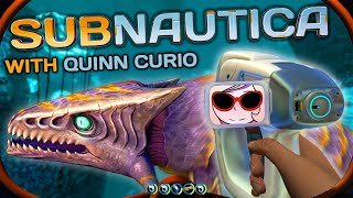 Water We Gonna Do? Dive Deeper! | Quinn Curio thumbnail