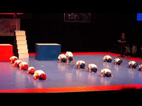 Final Round - Team Slovenia - Formations Junior