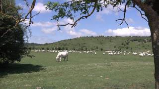 preview picture of video 'Casa Rural Navarra Don Roque II'