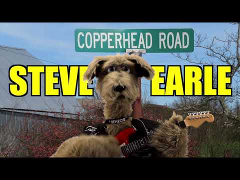 Steve Earle - Copperhead Road - The Underdogs Tribute