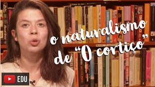 O CORTIÇO: RESOLUÇÃO DE DÚVIDAS E ESCOLA LITERÁRIA