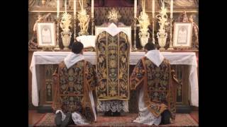 Lecture on the Liturgy Part 7: Mass of the Faithful - Canon Part II