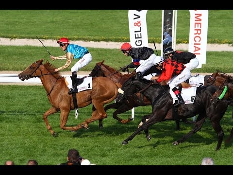 Köln: Großer Preis von Engel & Völkers Commercial (Listenrennen) - Siegerin: Daria