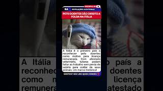 Itália aprova licença remunerada para cuidar de pets doentes