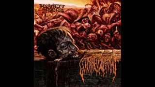 Insane Brutal Death Metal Riffs 2