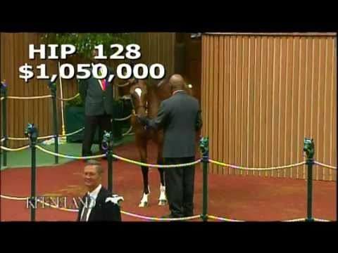 Hip 128 - 2012 September Yearling Sale