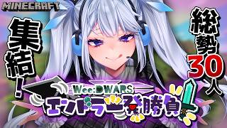 動画1