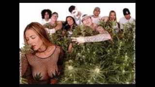 Kottonmouth Kings "Everybody Move" (Dj Scottie Scratch Em Remix)