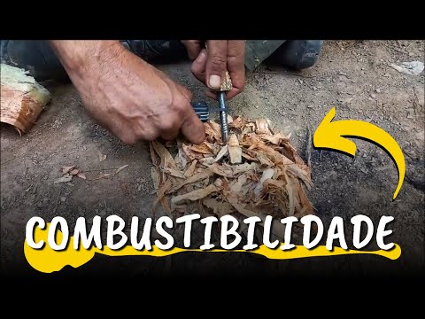 Aplicando o PRÍNCIPIO da COMBUSTIBILIDADE em ÍSCAS naturais com PEDERNEIRA
