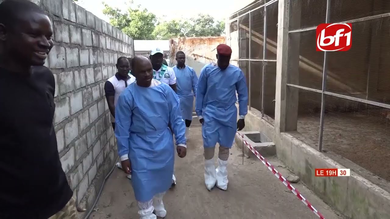 Opération " Zéro poulailler vide " : 516 aviculteurs bénéficient des premiers kits de production
