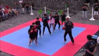 preview picture of video 'Kickboxing: Demonstração da Escolinha de Kickboxing (Vila Franca Fight Night 2014)'