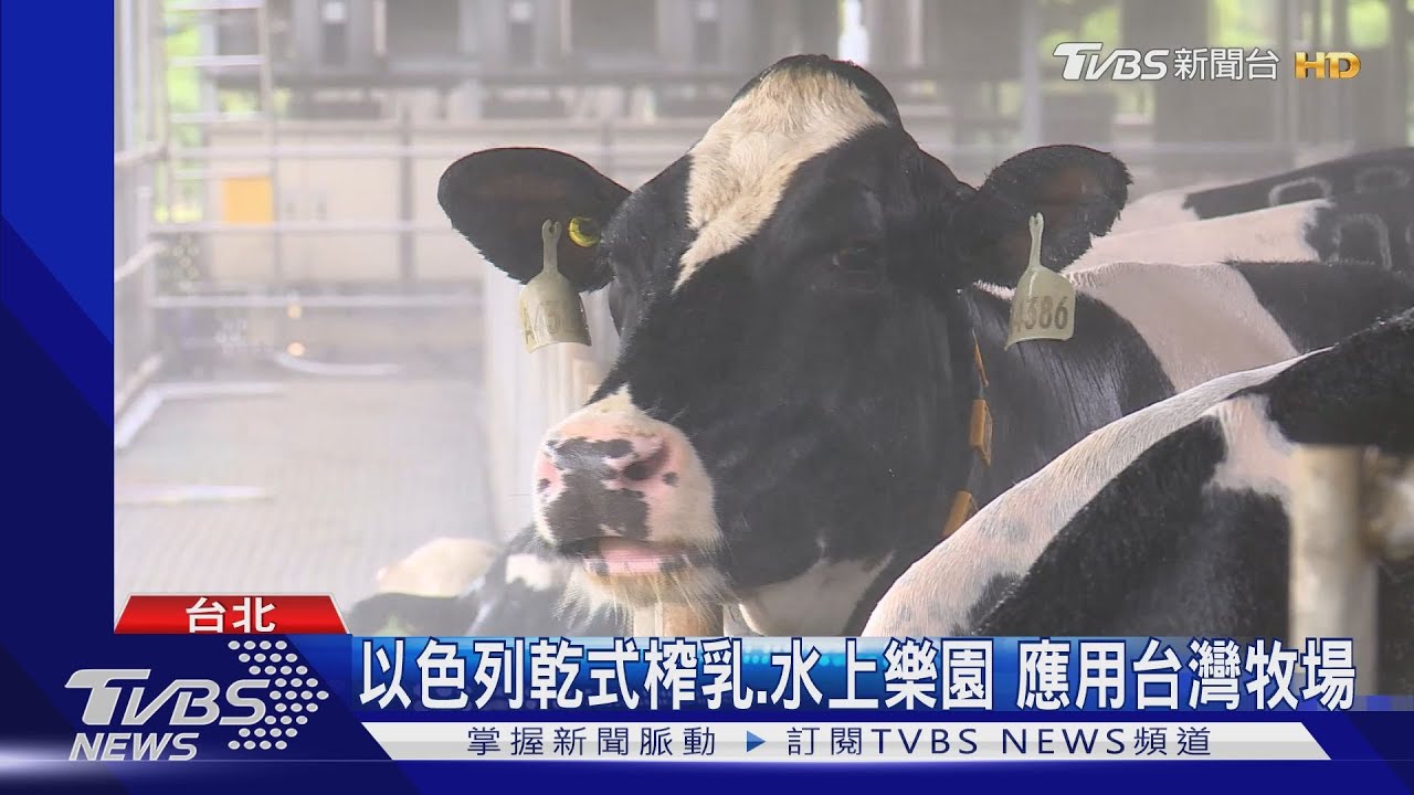 台灣鮮乳品牌　連六年獲國際雙料大獎