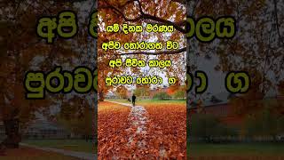 Download lagu නිවන් දකින්න කාලය පැමිණ ඇත. #motivation #love #quotes mp3