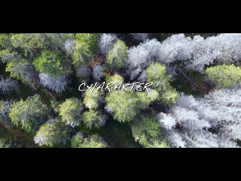 Kaliber x Error - Charakter (Official video)