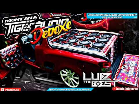 CD MONTANA TIGER ÁUDIO - FORRÓ & PISEIRO 2023 — DJ LUIZ THE BEST