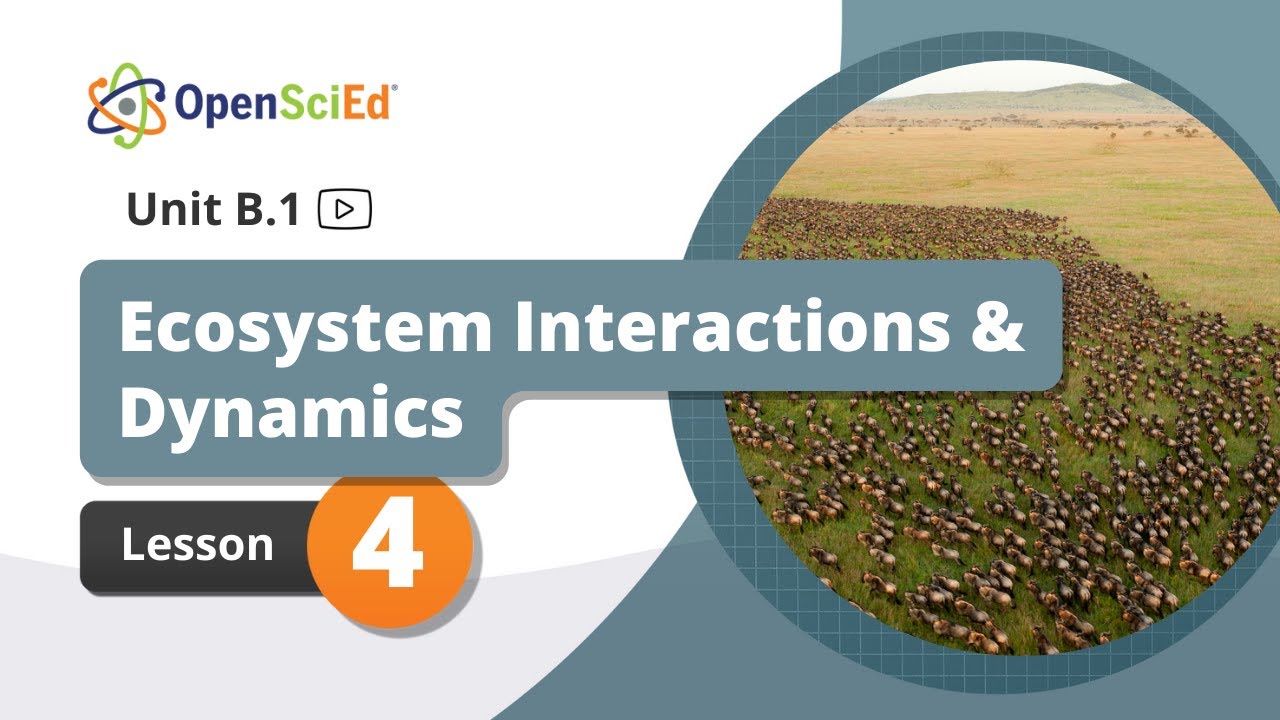 Unit B.1 Lesson 4 Planning Video | OpenSciEd On-Demand Resources
