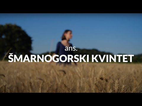 Hitri intervju: ans. ŠMARNOGORSKI KVINTET- 51. FESTIVAL NARODNO-ZABAVNE GLASBE ŠTEVERJAN 2023