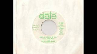 "Don't Go Out Into the Rain (You're Gonna Melt) by The Seagulls (1966)
