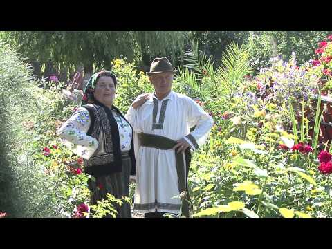 Maria Aiftincai   Merg cu Gheorghe la stransura