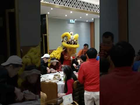 leão 🦁 dança dentro ♥ RESTAURANTE TAO*HEUNG* (1)