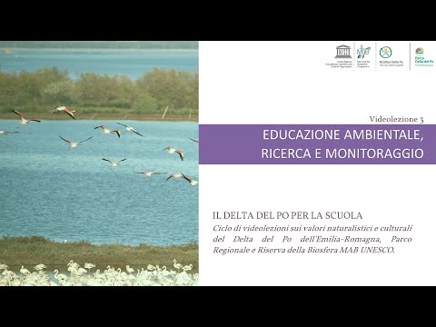 Videolezione 3 - Logistica