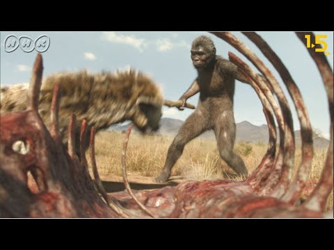, title : '[人類誕生CG] 240万年前の人類のライバルはハイエナ！？ | NHKスペシャル | NHK'