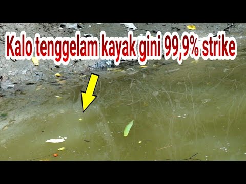 Pelampung tenggelam kayak gini 99,9% strike monster