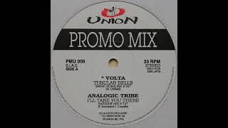 Analogic Tribe - I'll Take You There (Bassline Mix)