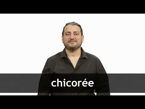 How to pronounce CHICORÉE in French