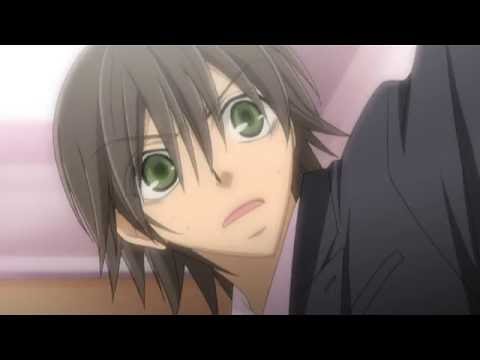 Junjo Romantica 2