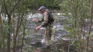 preview picture of video 'Fly Fishing the Gallatin River in Bozeman Montana'