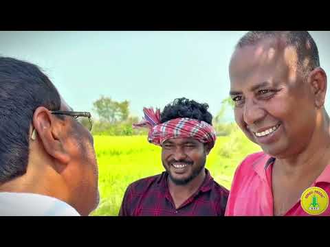 Hybrid Paddy – Yeti – Hindi