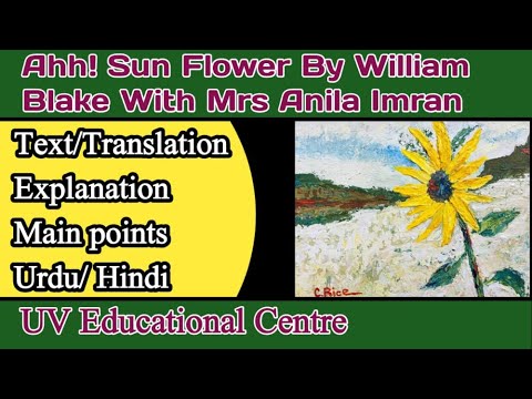 Ah,Sun Flower by William Blake /TEXT/Translation/Explanation/Main Points