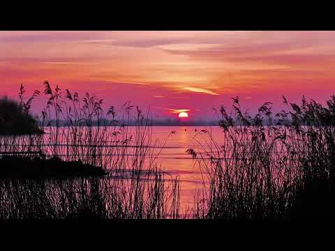 Langit Petang (Cover by Zamzuri)