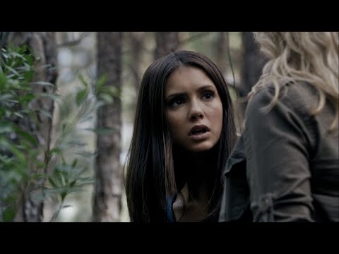 TVD 2x5 - The sheriff found out Stefan and Damon are vampires and captured them | Delena Scenes HD
