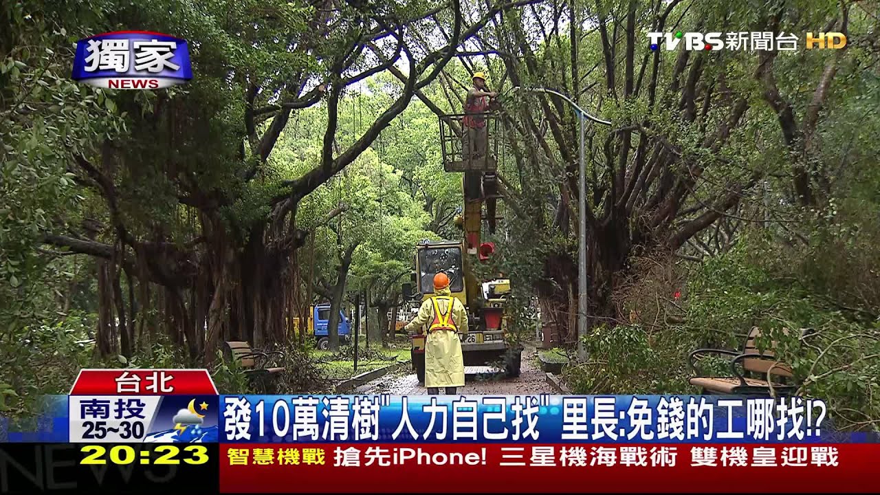 發10萬清樹「人力自己找」　里長：免錢的工哪找？