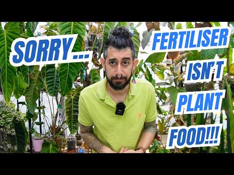 🪴 Houseplant Fertilizer EXPLAINED: What Nobody Tells You
