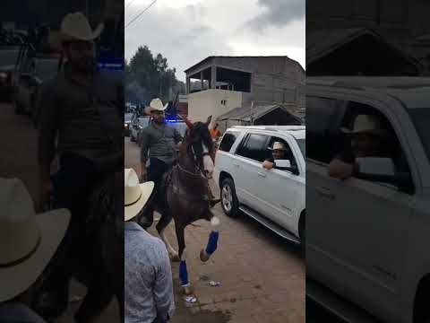 CABALGATA SURUTATO 2023/caballos bailadores 🐴🎶