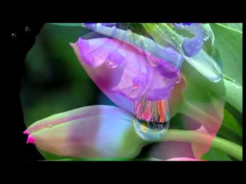 Janna Blbulyan "Dans Paris"