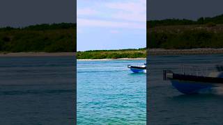 Pilot 🛟 #like #share #subscribe #comment #shortsvideo #youtubeshorts #cruise #vacation #shorts #fun