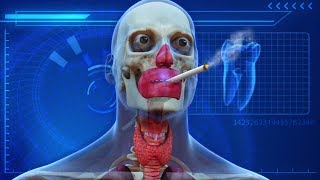 3 Hours of Relaxing Electronic Music (Music Video)