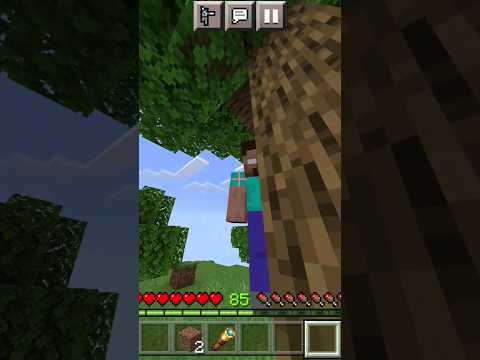 Malay the Gamer discovers Herobrine! #shorts