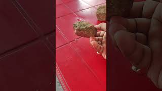 Download lagu mine rock mp3