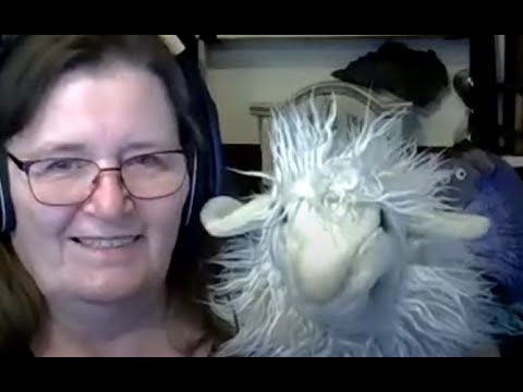 Zoom-Meeting vom 15.08.2023 - Woolly Hugs